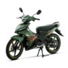Xanh rêu mờ